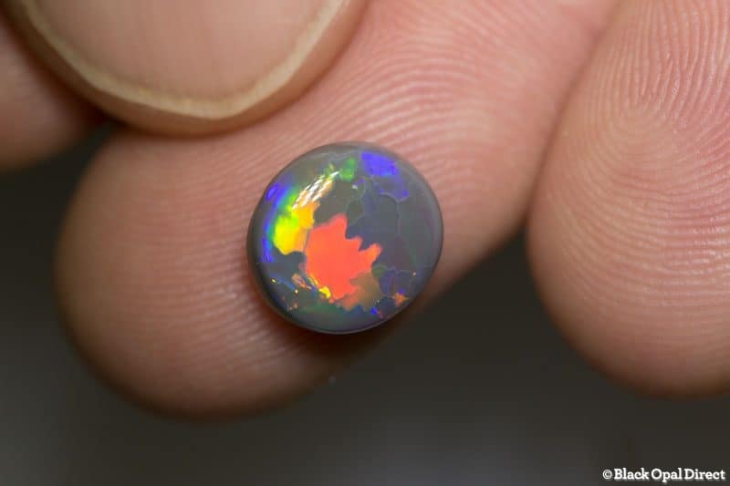 2.63 ct gem dark opal 10x9x5mm
