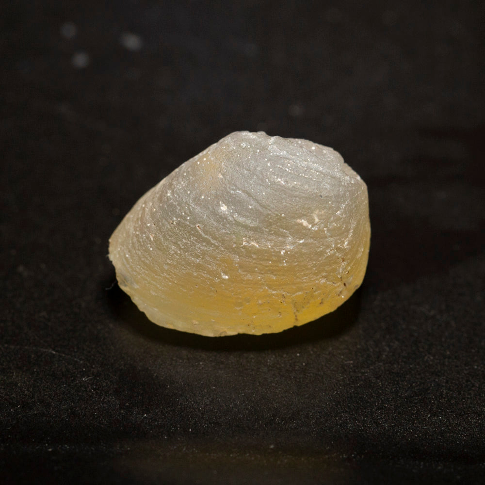 29.73 ct opal fossilised shell 23.7x17.7x14.8mm