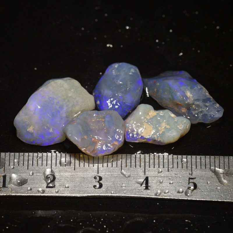 31 ct rough opal parcel 5pc