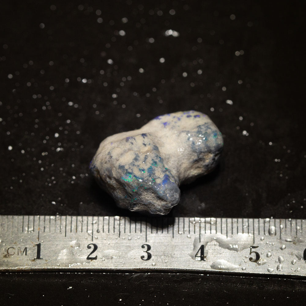 31 ct rough opal piece