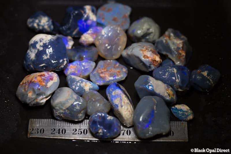 350 ct rough black opal parcel