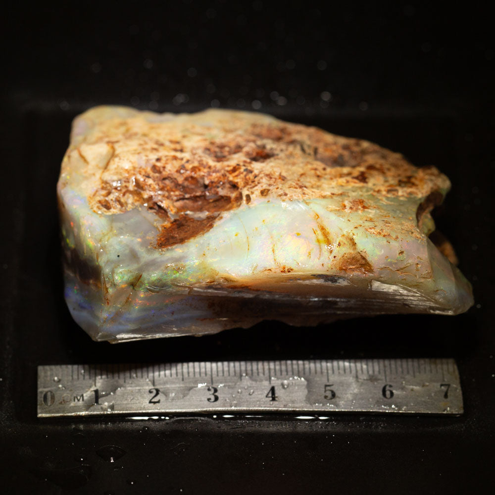 531 ct rough opal piece