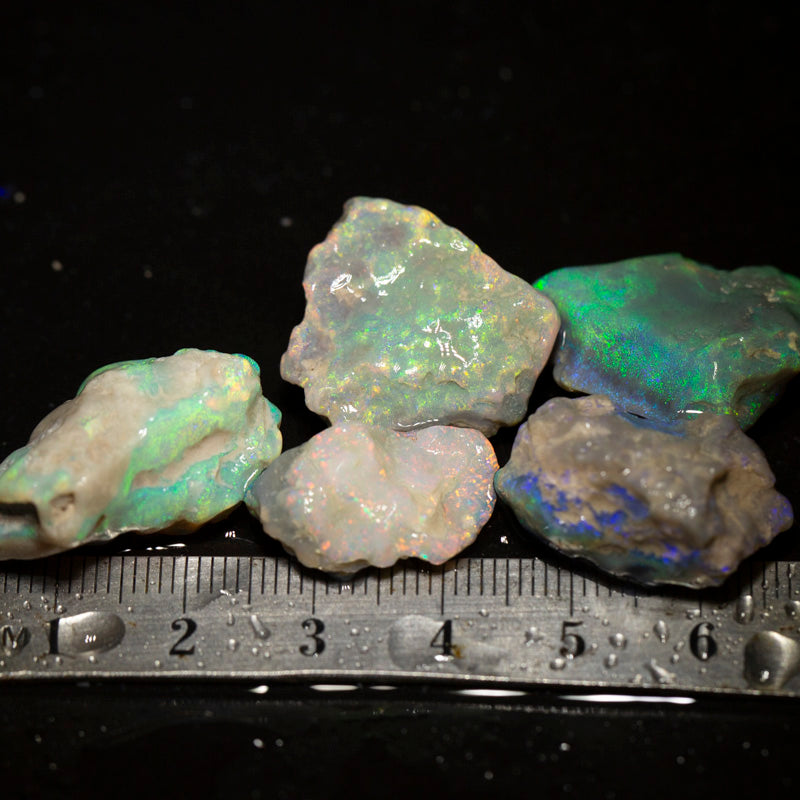 81 ct rough opal parcel 5pc