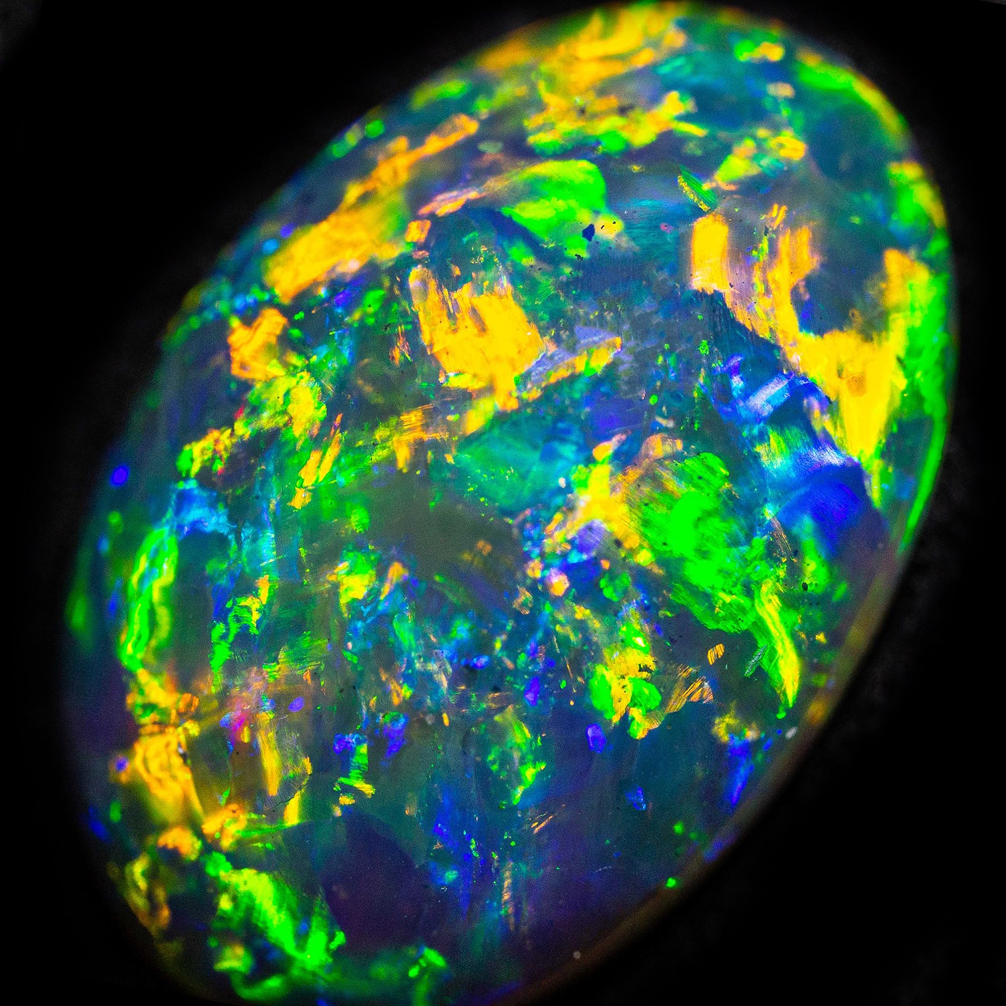 Opal Floral Pattern