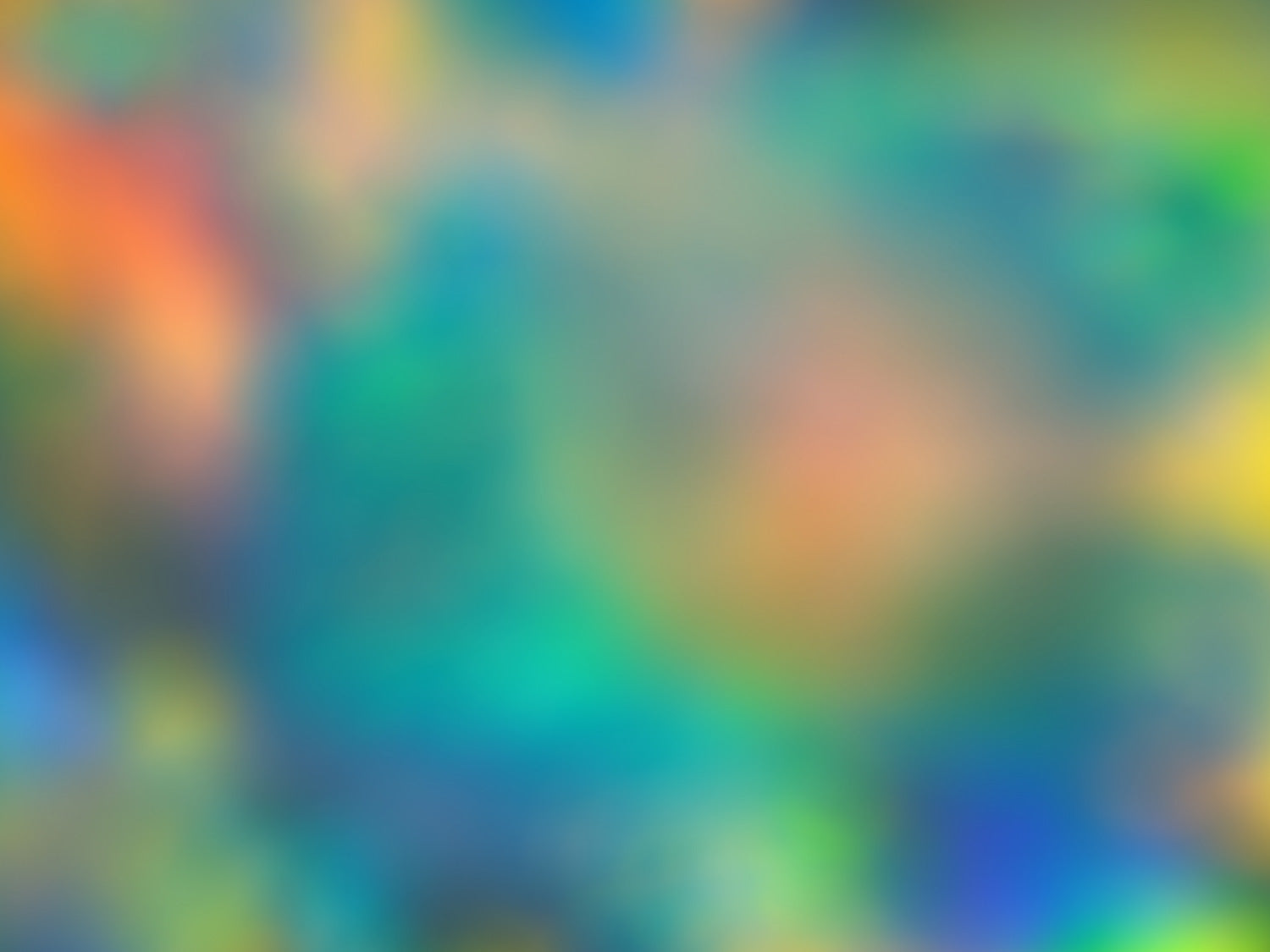 Best of the Best Opal Collection