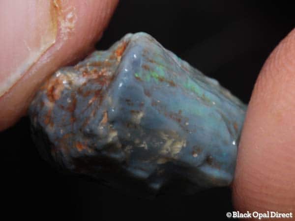 opalised bone