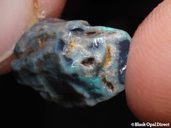 7.1ct fossil opalised bone