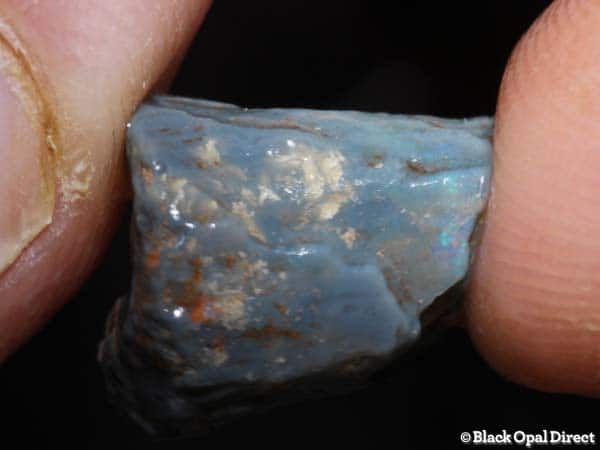 7.1ct fossil opalised bone