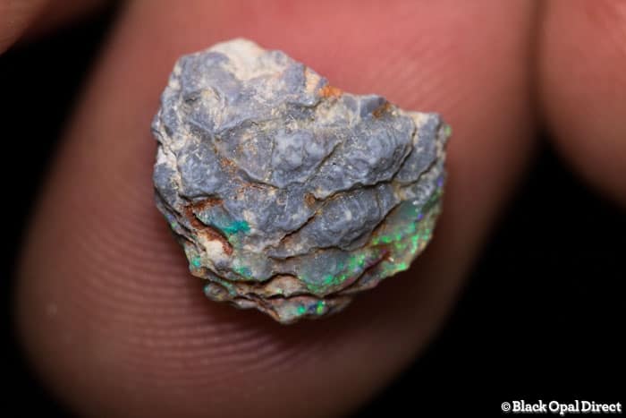3.04 ct Opalised pine cone 13mm across